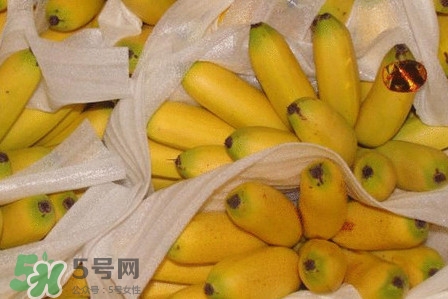 皇帝蕉是不是香蕉？皇帝蕉與普通香蕉區別