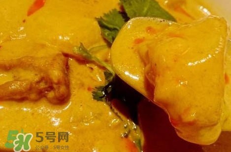 咖喱到底是什么物質？咖喱是植物嗎