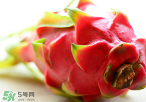 七月份可以種火龍果嗎？火龍果什么時候種植？