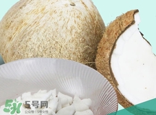 椰皇的營養價值_椰皇的功效與作用及食用禁忌