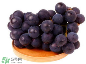 巨峰葡萄幾月份成熟？巨峰葡萄什么時(shí)候成熟？