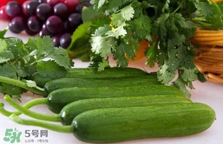 水果黃瓜是轉基因嗎？水果黃瓜的功效和作用
