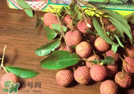 增城掛綠荔枝最貴多少錢？掛綠荔枝和普通荔枝有什么區別