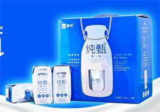 純甄酸奶過(guò)期還能喝嗎？純甄酸奶過(guò)期一點(diǎn)點(diǎn)要緊嗎？