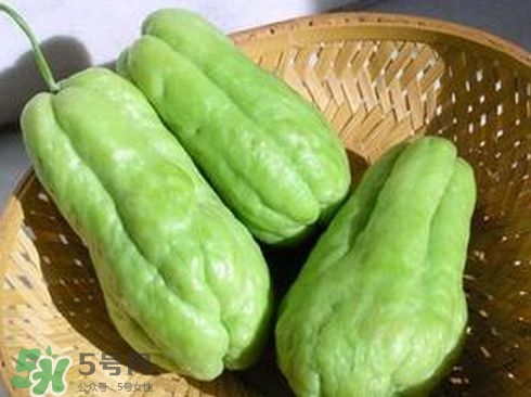 佛手瓜汁沾到手上怎樣洗？佛手瓜怎么做好吃？
