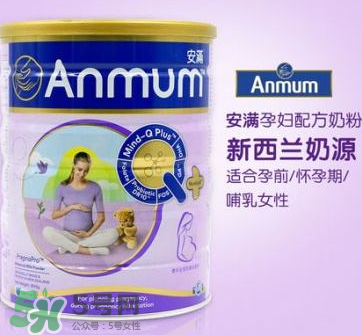 安滿和惠氏孕婦奶粉哪個好？安滿和惠氏孕婦奶粉的區別