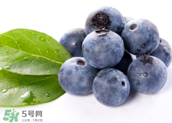 藍(lán)莓是什么顏色？藍(lán)莓泡水什么顏色？