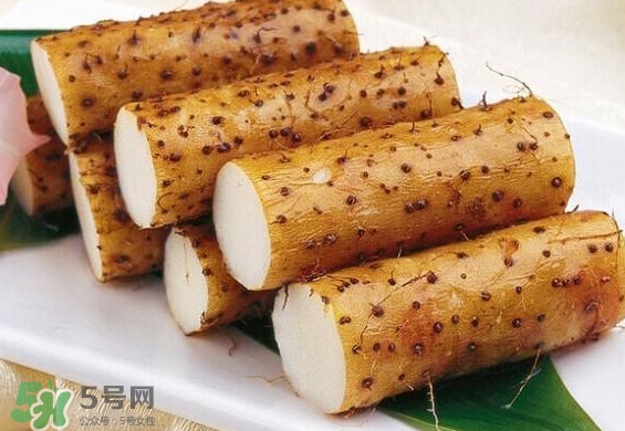 懷山藥是生山藥嗎？懷山藥是鐵棍山藥嗎