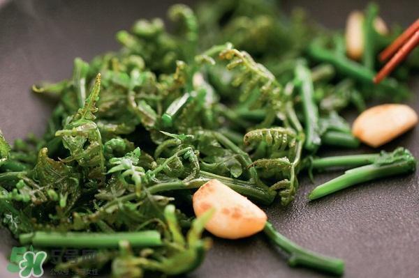 龍須菜怎么清洗？龍須菜怎么處理？