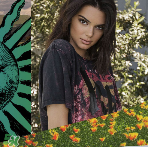 kendall kylie2017復古系列短袖t恤怎么樣_好看嗎_款式有哪些？