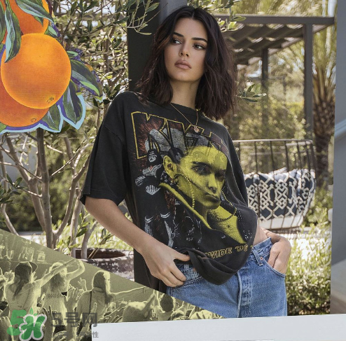 kendall kylie2017復古系列短袖t恤怎么樣_好看嗎_款式有哪些？