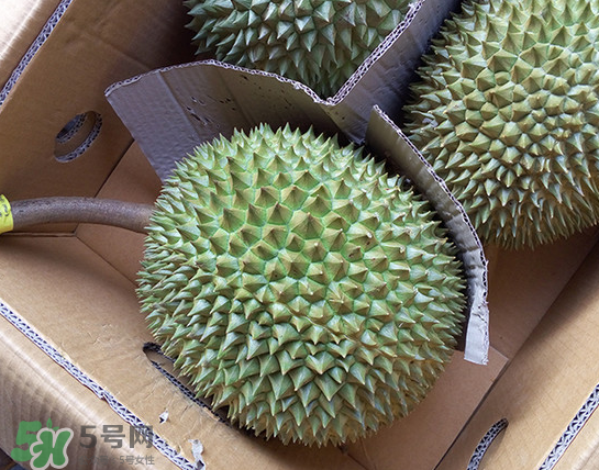 干堯榴蓮怎么樣算熟了？干堯榴蓮怎么挑選？
