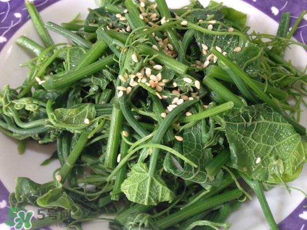 龍須菜怎么清洗？龍須菜怎么處理？