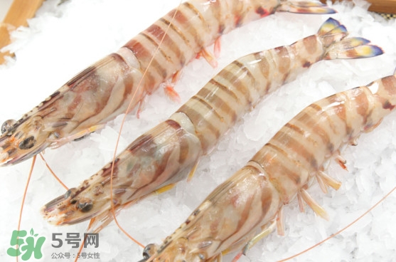 竹節蝦是海里的嗎？竹節蝦是海蝦還是河蝦