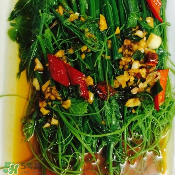龍須菜怎么清洗？龍須菜怎么處理？