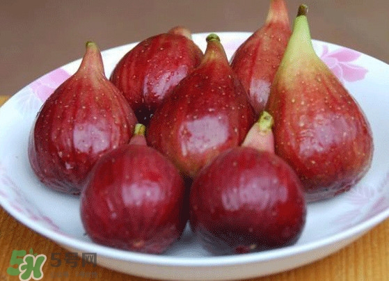 新鮮無花果怎么保存？無花果能保存多久？