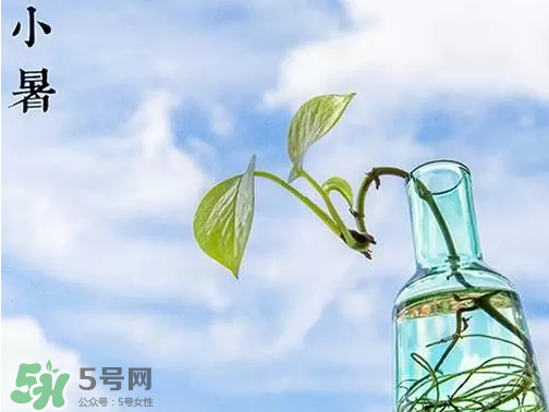 小暑是頭伏嗎？小暑是初伏嗎？