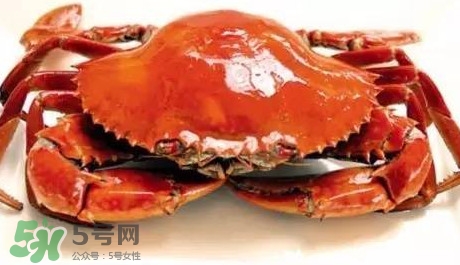 石夾紅螃蟹什么時候有？石夾紅螃蟹什么時候最肥