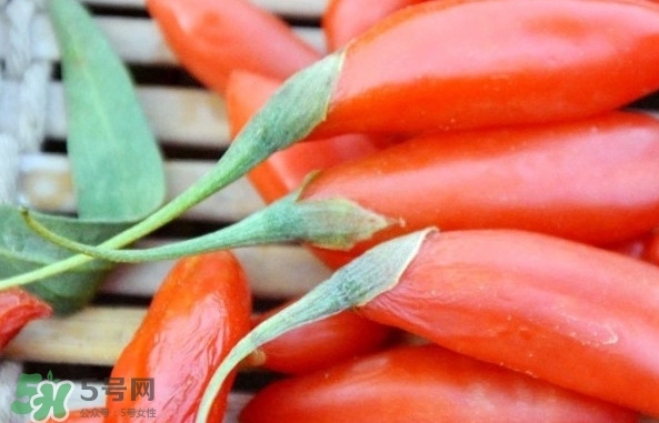 青海和寧夏枸杞哪個好？青海枸杞和寧夏枸杞的區別