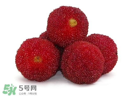 新鮮楊梅怎么保存得更長時間？新鮮楊梅能保存幾天？