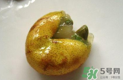 黃皮果核能治療什么病？黃皮核的功效與作用
