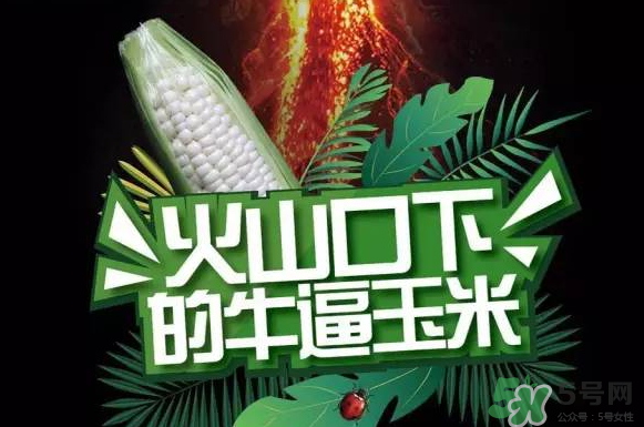 微玉冰糖玉米小孩可以吃嗎？微玉冰糖玉米營養豐富嗎？