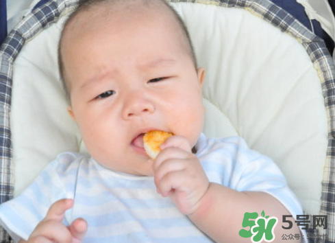 磨牙餅干吃不完怎么辦？磨牙餅干吃到多大？