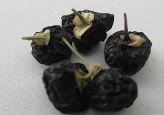 黑枸杞可以和菊花一起喝嗎？菊花和黑枸杞一起喝好嗎
