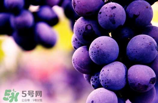 夏黑葡萄多少錢一斤？夏黑葡萄怎么挑選？
