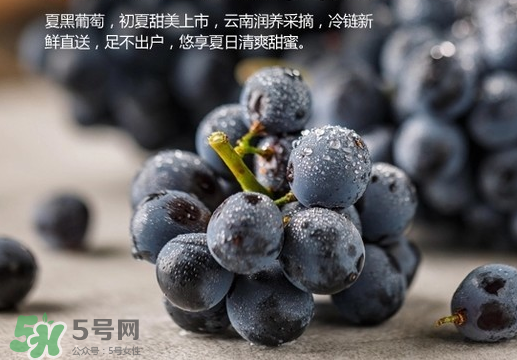 夏黑葡萄皮能吃嗎？夏黑葡萄怎么吃？
