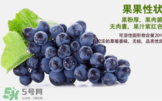 夏黑葡萄怎么洗？夏黑葡萄怎么洗才干凈？