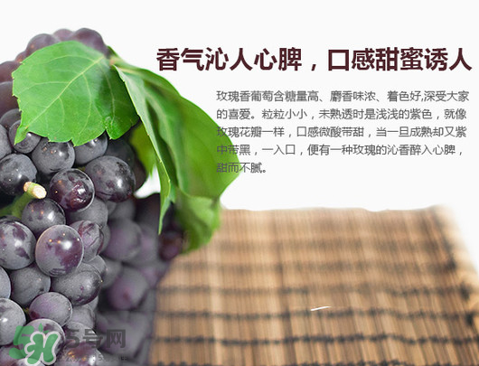 玫瑰香葡萄孕婦能吃嗎？孕婦可以吃玫瑰香葡萄嗎？
