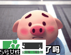 豬小屁多少錢一個？豬小屁哪里可以買到