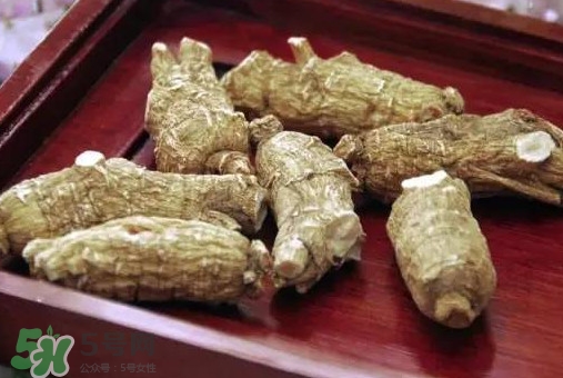 西洋參補腎嗎？西洋參適合什么季節吃