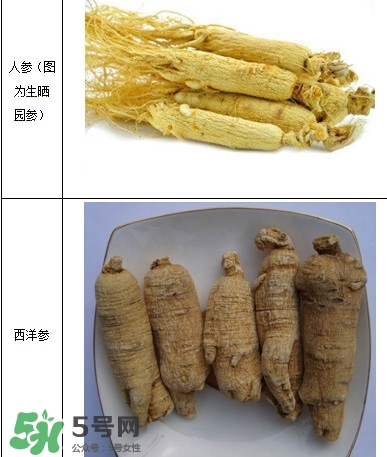 西洋參怎么吃效果最好？西洋參與人參的區別
