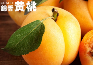 黃桃和香蕉能一起吃嗎？ 香蕉可以和黃桃一起吃嗎？