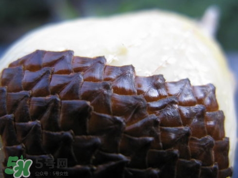 蛇皮果能生吃嗎？蛇皮果能放冰箱嗎？