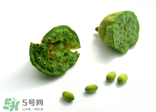 新鮮蓮子可以直接吃嗎？生蓮子可以直接吃嗎？