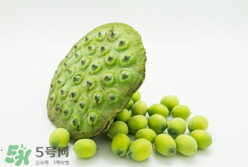 新鮮蓮子可以直接吃嗎？生蓮子可以直接吃嗎？