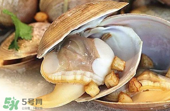 蜆子是蛤蜊嗎？蜆子和文蛤怎樣區別
