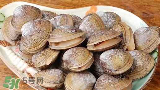 蜆子是蛤蜊嗎？蜆子和文蛤怎樣區別