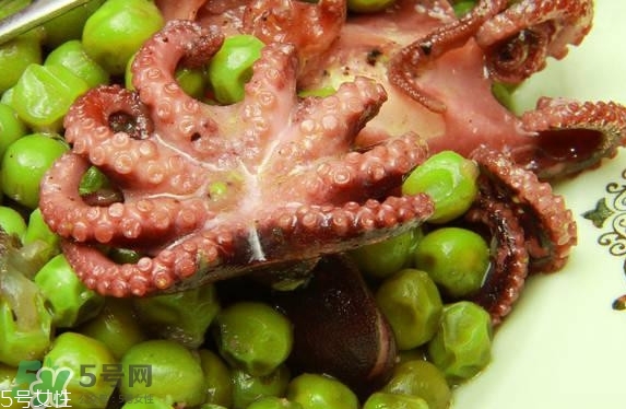 八爪魚多少錢一斤？章魚多少錢一斤