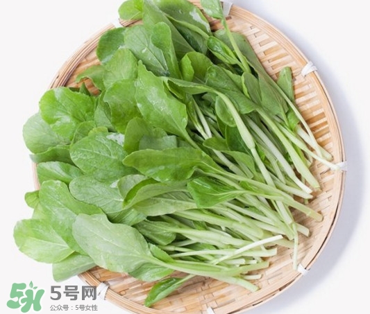 雞毛菜有什么營養價值？雞毛菜的功效與作用