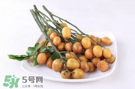 黃皮是涼性水果嗎？黃皮是哪里的特產