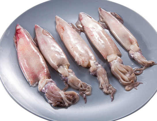 章魚是魷魚嗎？章魚和魷魚有什么區別