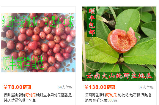 野地瓜哪里可以買(mǎi)到？哪個(gè)地方有種植野地瓜的