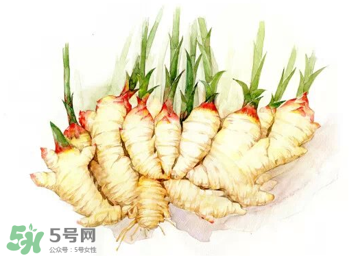 7月份可以種生姜嗎？生姜幾月份種植？