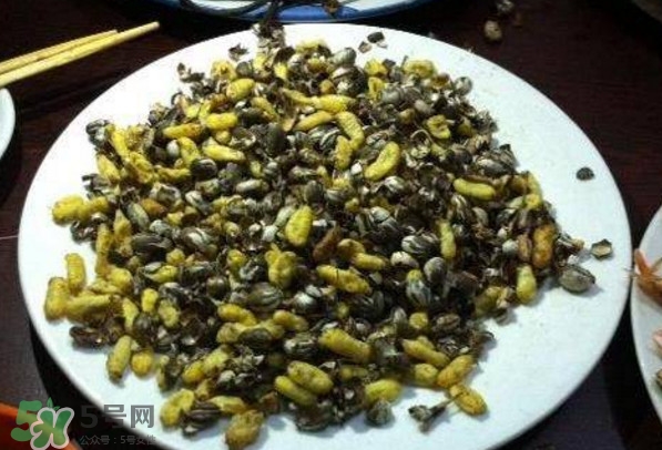 洋辣子是什么？洋辣子能吃嗎？