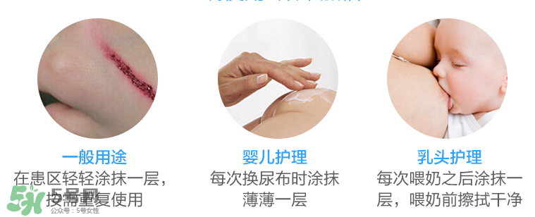 拜耳護臀膏有激素嗎？拜耳護臀膏含不含激素？