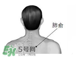 三伏貼能治過敏性鼻炎嗎？三伏貼治過敏性鼻炎貼哪里？